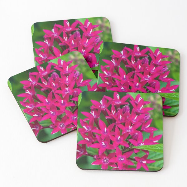 Item preview, Flower | Egyptian Starcluster designed and sold by TinyDinoDesigns.