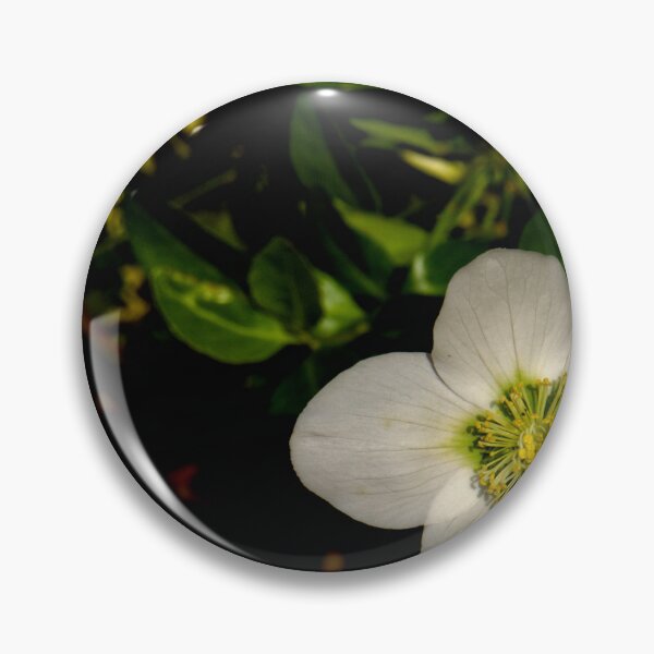 Item preview, Christmas Rose designed and sold by jalfc46.