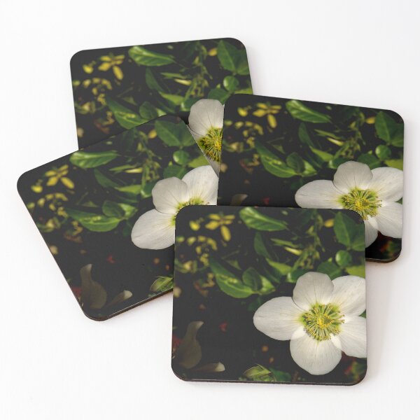 Item preview, Christmas Rose designed and sold by jalfc46.