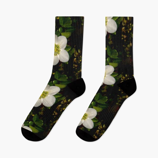 Item preview, Christmas Rose designed and sold by jalfc46.