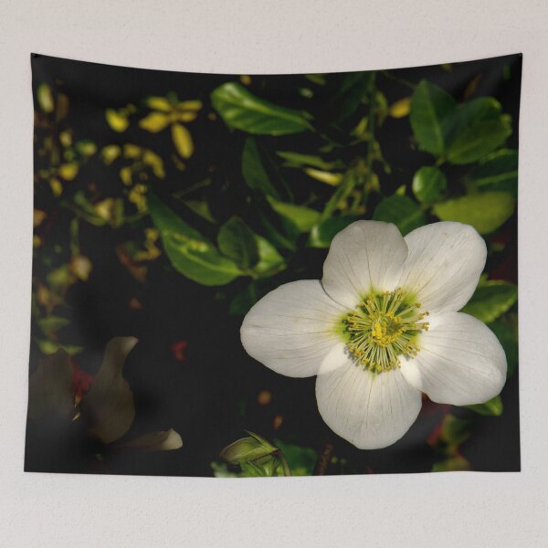 Item preview, Christmas Rose designed and sold by jalfc46.
