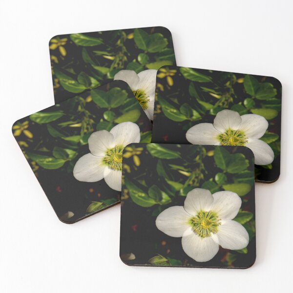 Item preview, Christmas Rose sqr designed and sold by jalfc46.