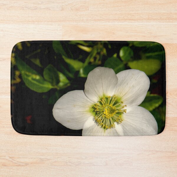 Item preview, Christmas Rose sqr designed and sold by jalfc46.