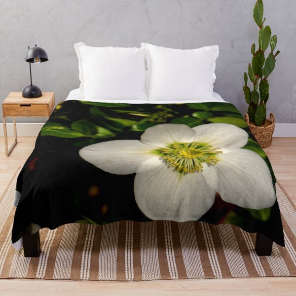 Item preview, Christmas Rose sqr designed and sold by jalfc46.