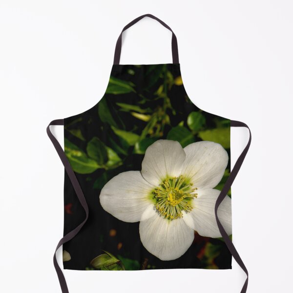Item preview, Christmas Rose sqr designed and sold by jalfc46.