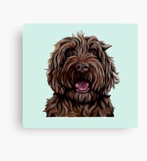 Chocolate Australian Cobberdog/Australian Labradoodle Canvas Print