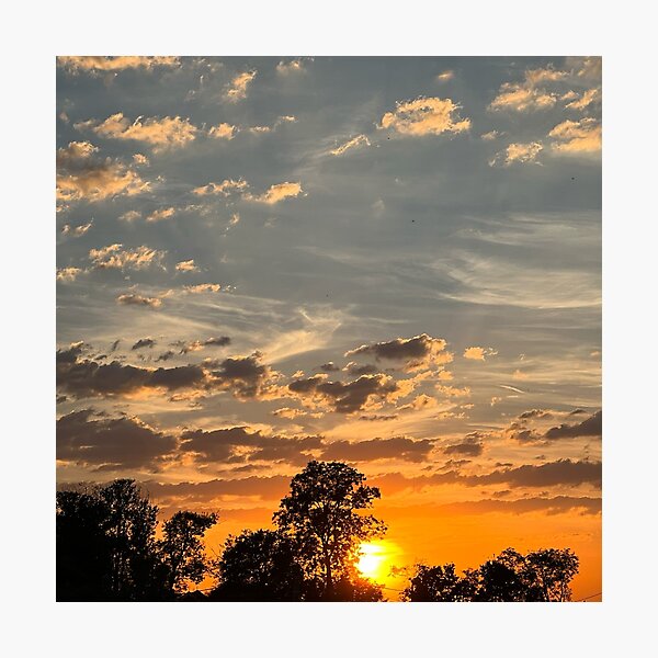 Item preview, Evening glow through the treetops designed and sold by Ivan  Design.