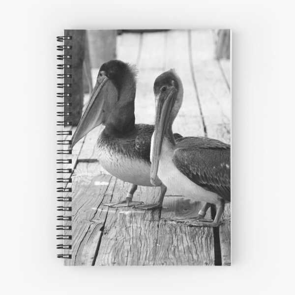 Item preview, Juvenile Brown Pelican Tale 4 designed and sold by Cynthia48.