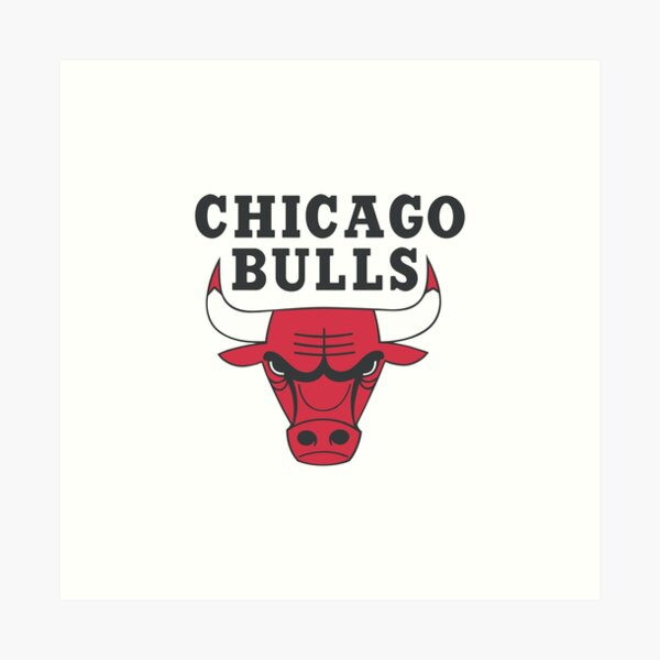 NBA Youth Chicago Bulls Derrick Rose Notorious Short Sleeve Tee, Black,  Medium : Sports Fan T Shirts : Sports & Outdoors 