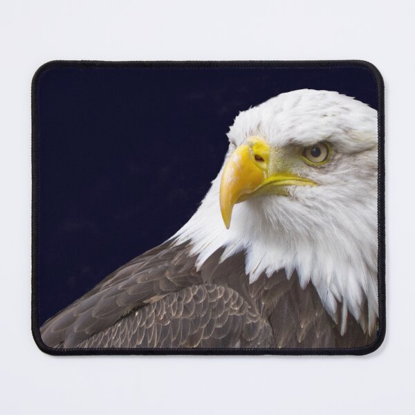Item preview, Bald Eagle designed and sold by jalfc46.