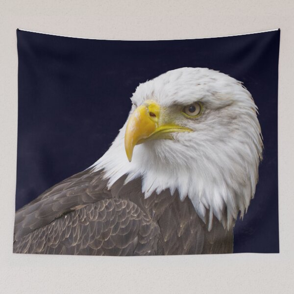Item preview, Bald Eagle  designed and sold by jalfc46.