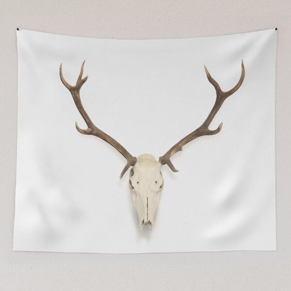 Item preview, Deer Antlers and skull - boho animal decor designed and sold by aprilfourth.