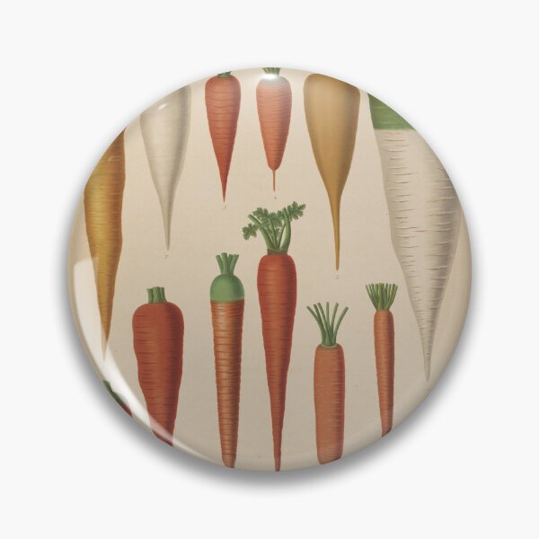 Artikelvorschau, Vintage Carrot Species Illustrative Diagram (1876) entworfen und verkauft von BravuraMedia.
