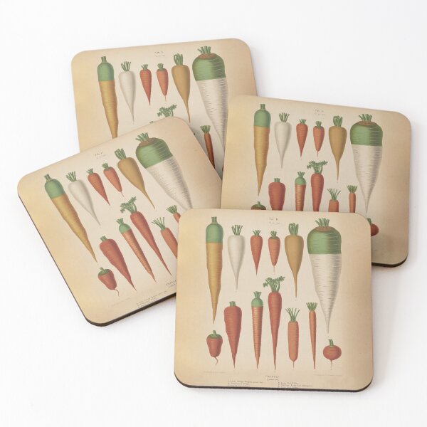 Item preview, Vintage Carrot Species Illustrative Diagram (1876) designed and sold by BravuraMedia.