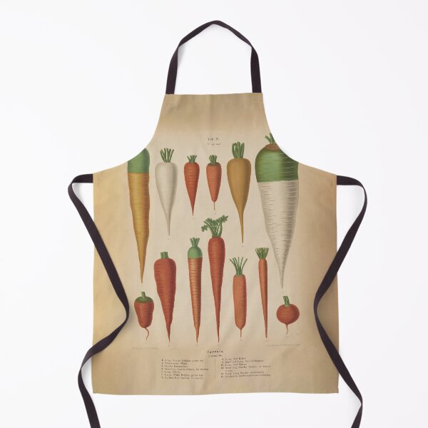 Artikelvorschau, Vintage Carrot Species Illustrative Diagram (1876) entworfen und verkauft von BravuraMedia.