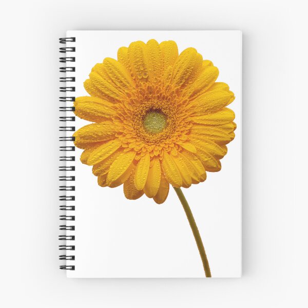 Item preview, Gerbera Candela yellow designed and sold by bildcosmetic.