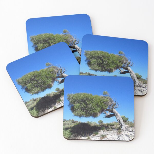 Item preview, Windblown Tree designed and sold by MartinPhotos.