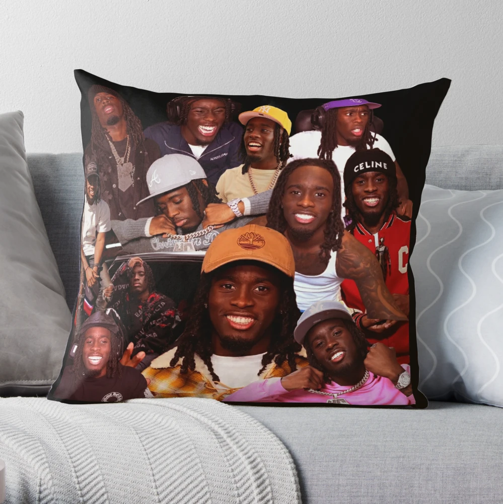 https://ih1.redbubble.net/image.5263087699.6350/throwpillow,large,1000x-bg,f8f8f8-c,0,200,1000,1000.webp