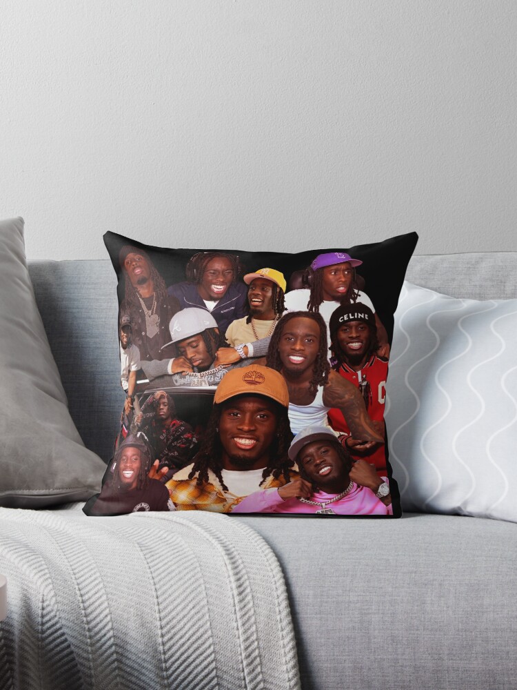 https://ih1.redbubble.net/image.5263087699.6350/throwpillow,small,750x1000-bg,f8f8f8.jpg