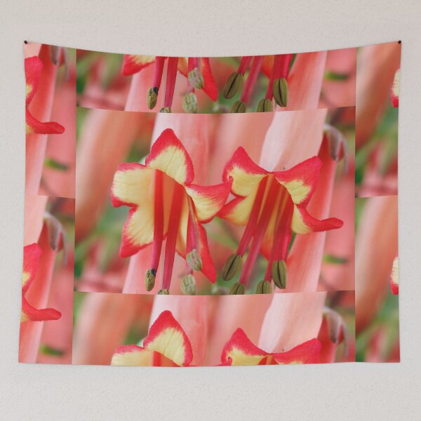Item preview, Phygelius × rectus  Somerford Funfair Orange = 'Yapor'  Somerford Funfair Series  Cape fuchsia   designed and sold by Chris Burrows.