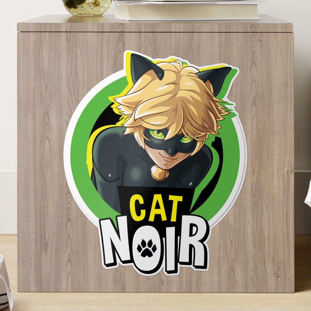 Bordado Cat Noir 10