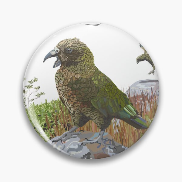 Item preview, The Kea (Nestor notabilis) - New Zealand's inquistive, disarming parrot of the Southern Alps designed and sold by contourcreative.