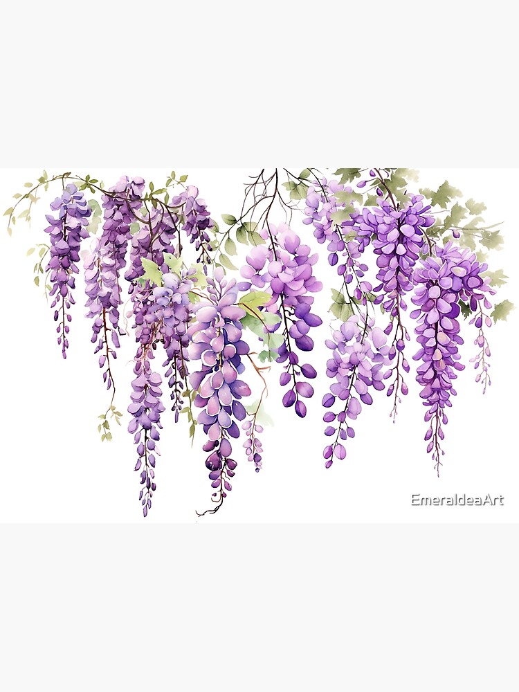 dangling purple wisteria watercolor, cutout Poster for Sale by  EmeraldeaArt