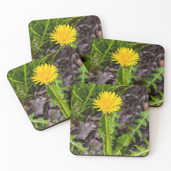 Item preview, Photogenic Dandelion designed and sold by ECPhotos.