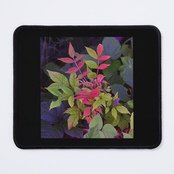 Item preview, Leaves designed and sold by CarolM.