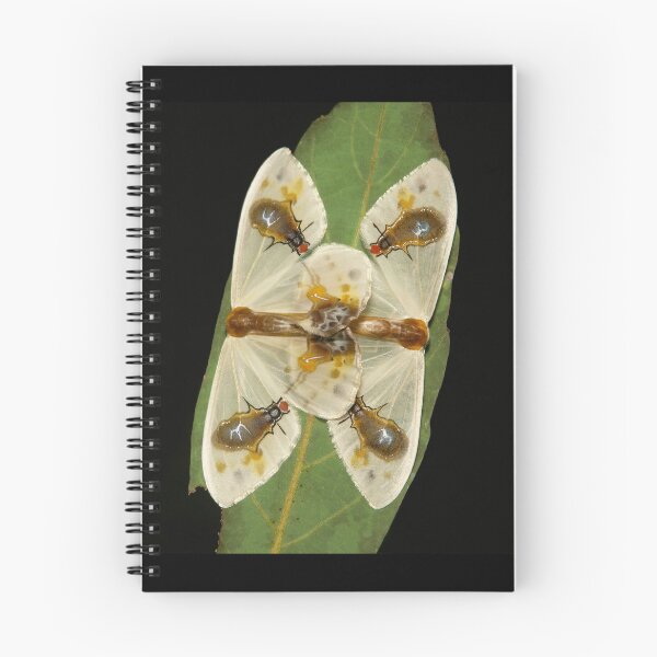 Item preview, Flies-On-Bird-Poop Moths designed and sold by itchydogimages.