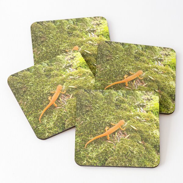 Item preview, Red Spotted Newt  designed and sold by etherealwonders.