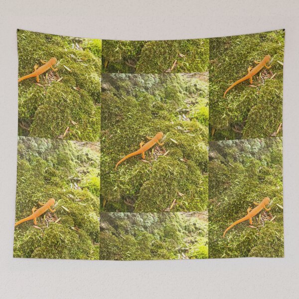 Item preview, Red Spotted Newt  designed and sold by etherealwonders.