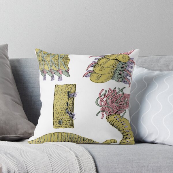 Item preview, Bristle Worm | Sea Animal | Ocean Life | Marine Biology designed and sold by encyclo-art.