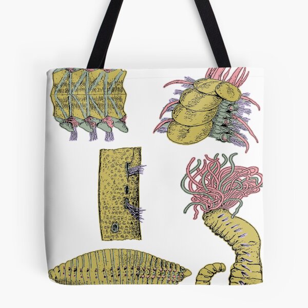 Item preview, Bristle Worm | Sea Animal | Ocean Life | Marine Biology designed and sold by encyclo-art.