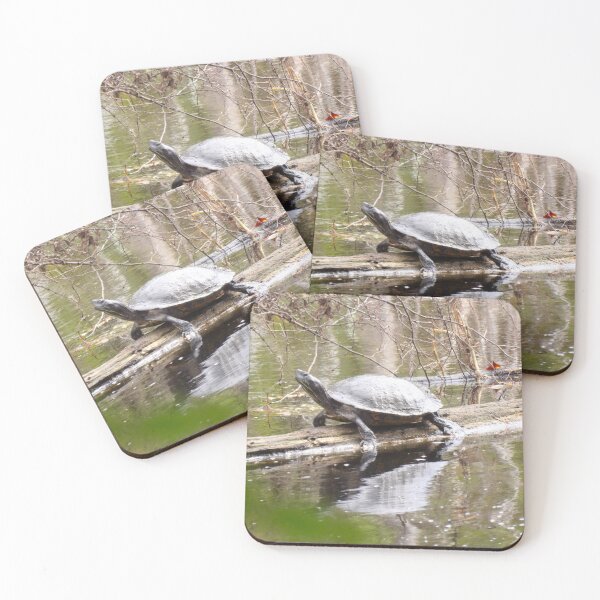 Item preview, Northern Red-bellied Cooter on a Log designed and sold by gistinker.