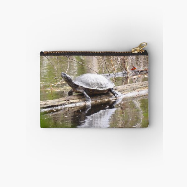 Item preview, Northern Red-bellied Cooter on a Log designed and sold by gistinker.