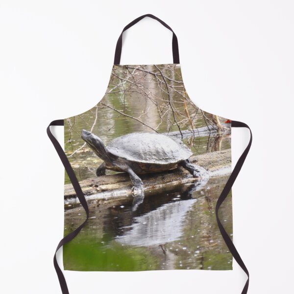 Item preview, Northern Red-bellied Cooter on a Log designed and sold by gistinker.