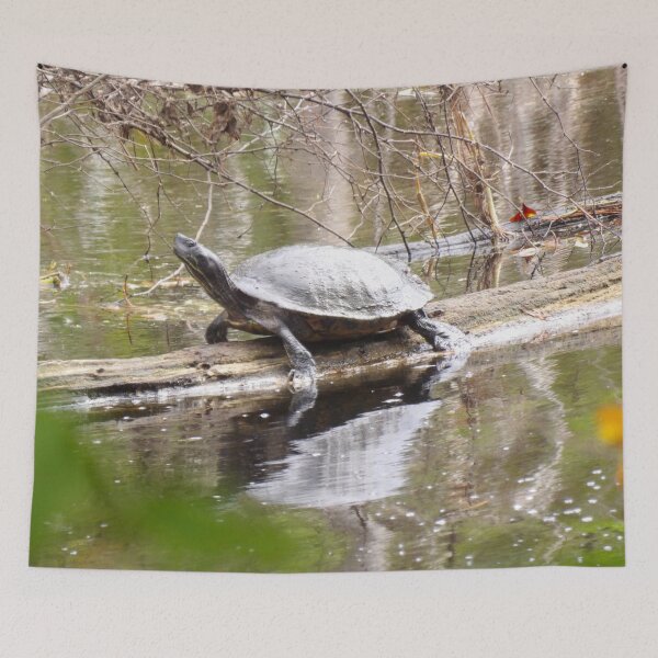 Item preview, Northern Red-bellied Cooter on a Log designed and sold by gistinker.