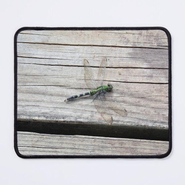 Item preview, Pondhawk Dragonfly on Boardwalk designed and sold by gistinker.