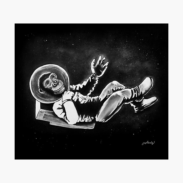 Space Chimp Photographic Print