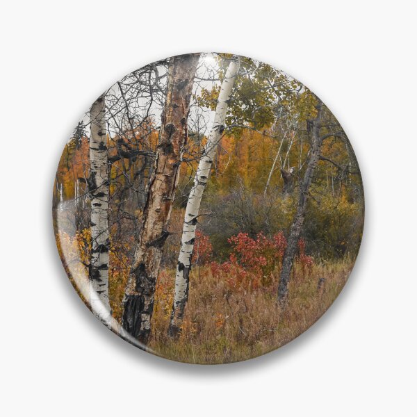 Item preview, Autumn Forest and Path in Kuhnen Park, Alberta designed and sold by Amy Mitchell.
