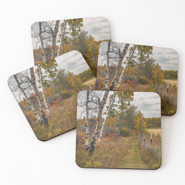 Item preview, Autumn Forest and Path in Kuhnen Park, Alberta designed and sold by Amy Mitchell.
