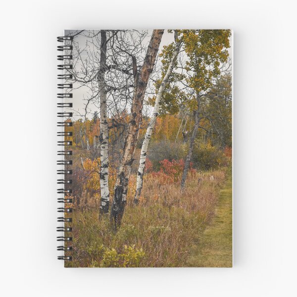 Item preview, Autumn Forest and Path in Kuhnen Park, Alberta designed and sold by Amy Mitchell.