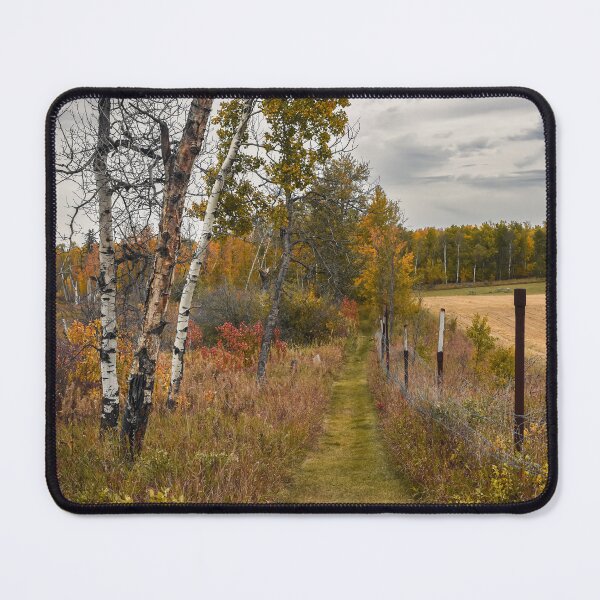 Item preview, Autumn Forest and Path in Kuhnen Park, Alberta designed and sold by Amy Mitchell.