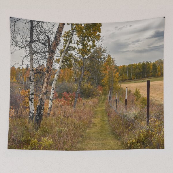 Item preview, Autumn Forest and Path in Kuhnen Park, Alberta designed and sold by Amy Mitchell.