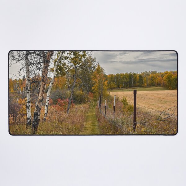 Item preview, Autumn Forest and Path in Kuhnen Park, Alberta designed and sold by Amy Mitchell.