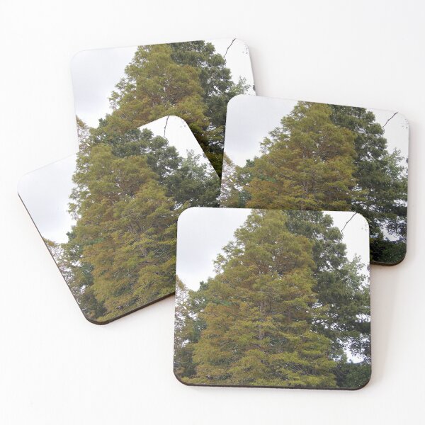 Item preview, Bald Cypress Tree designed and sold by gistinker.