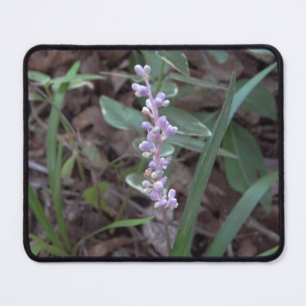 Item preview,  Dwarf Lily-Turf designed and sold by gistinker.