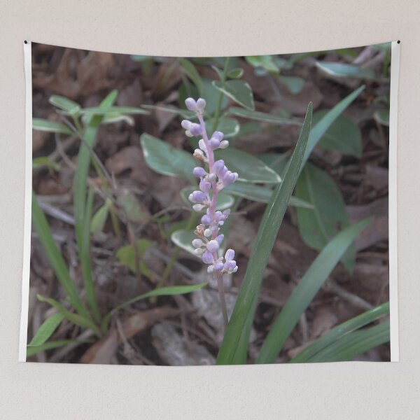 Item preview,  Dwarf Lily-Turf designed and sold by gistinker.