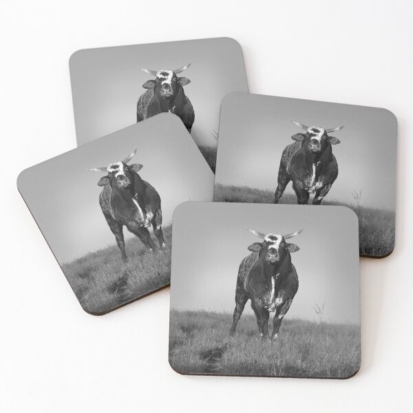Item preview, RENEGADE, WILD BULL, ANIMAL PHOTOGRAPHY designed and sold by Barbara Jean Photo Art And Design.
